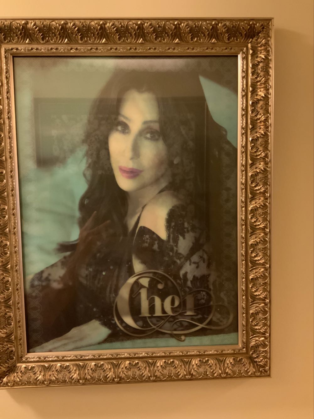 Cher Concert - Photographer Art art collectible - Main Image 2
