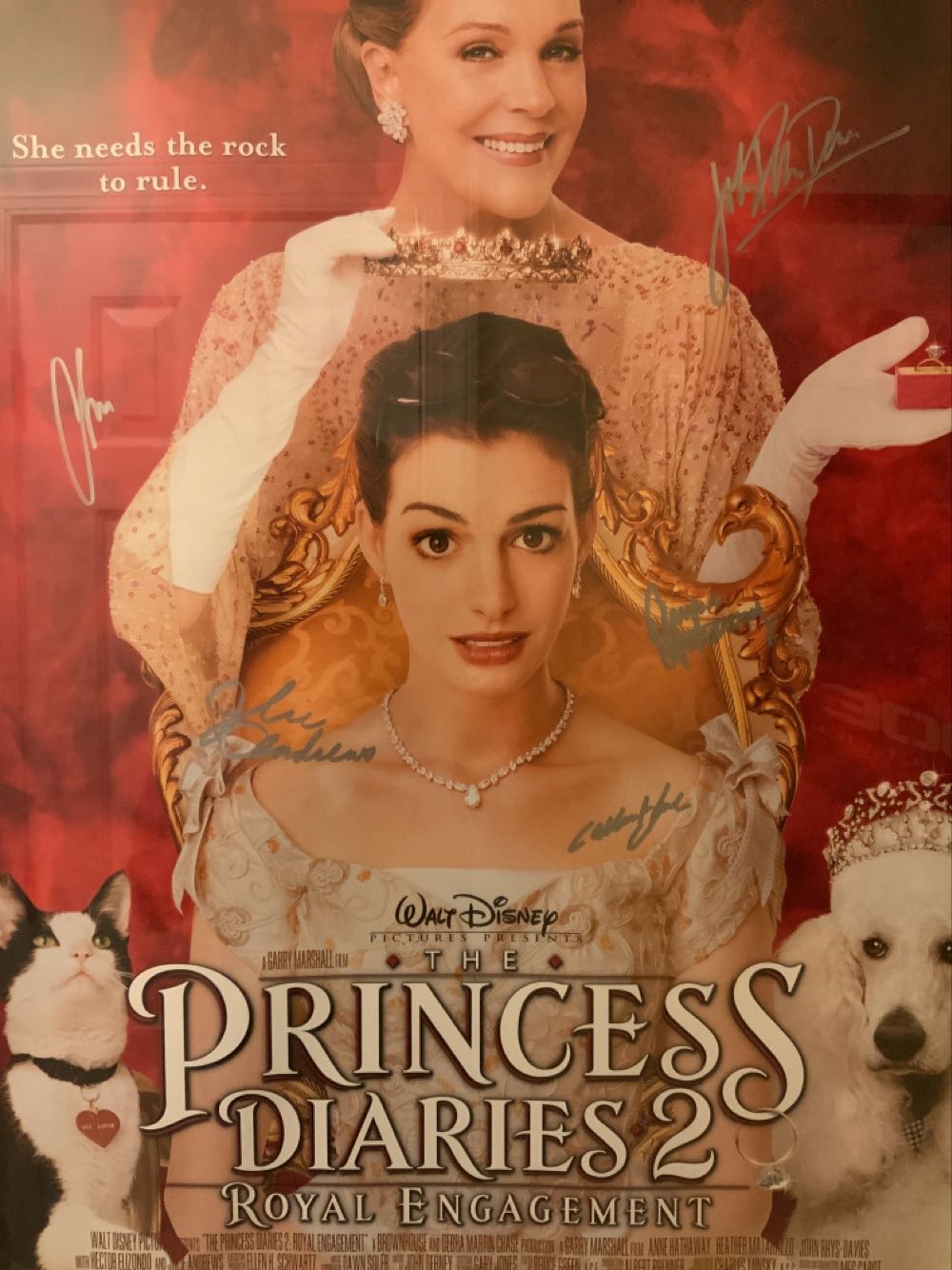 The Princess Diaries 2 Movie Poster - Photographer Art art collectible - Main Image 2