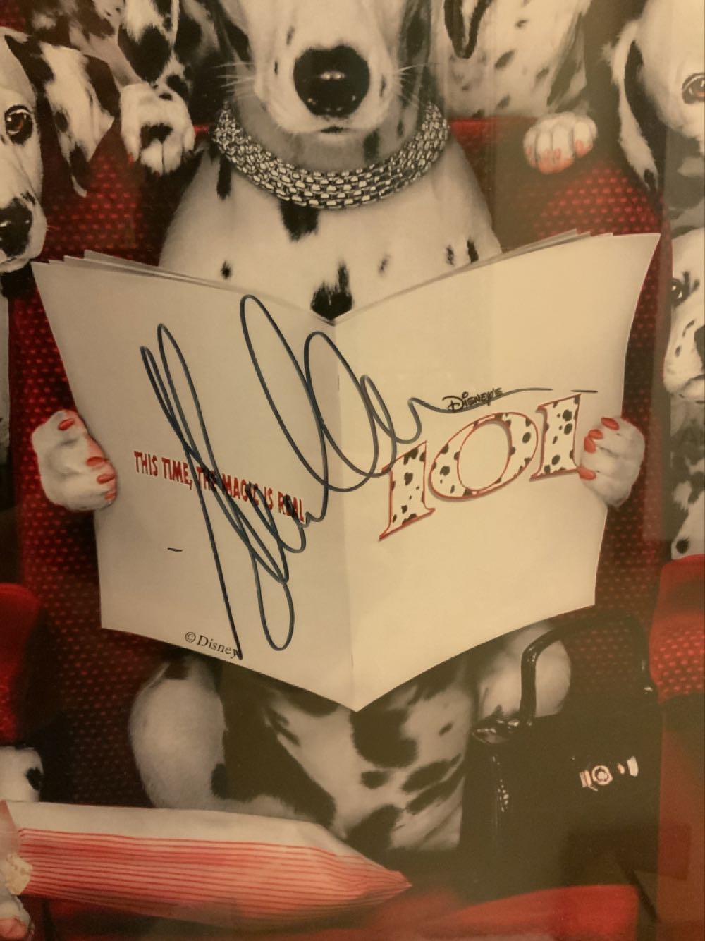 101 Dalmations Movie Poster - Photographer Art art collectible - Main Image 2