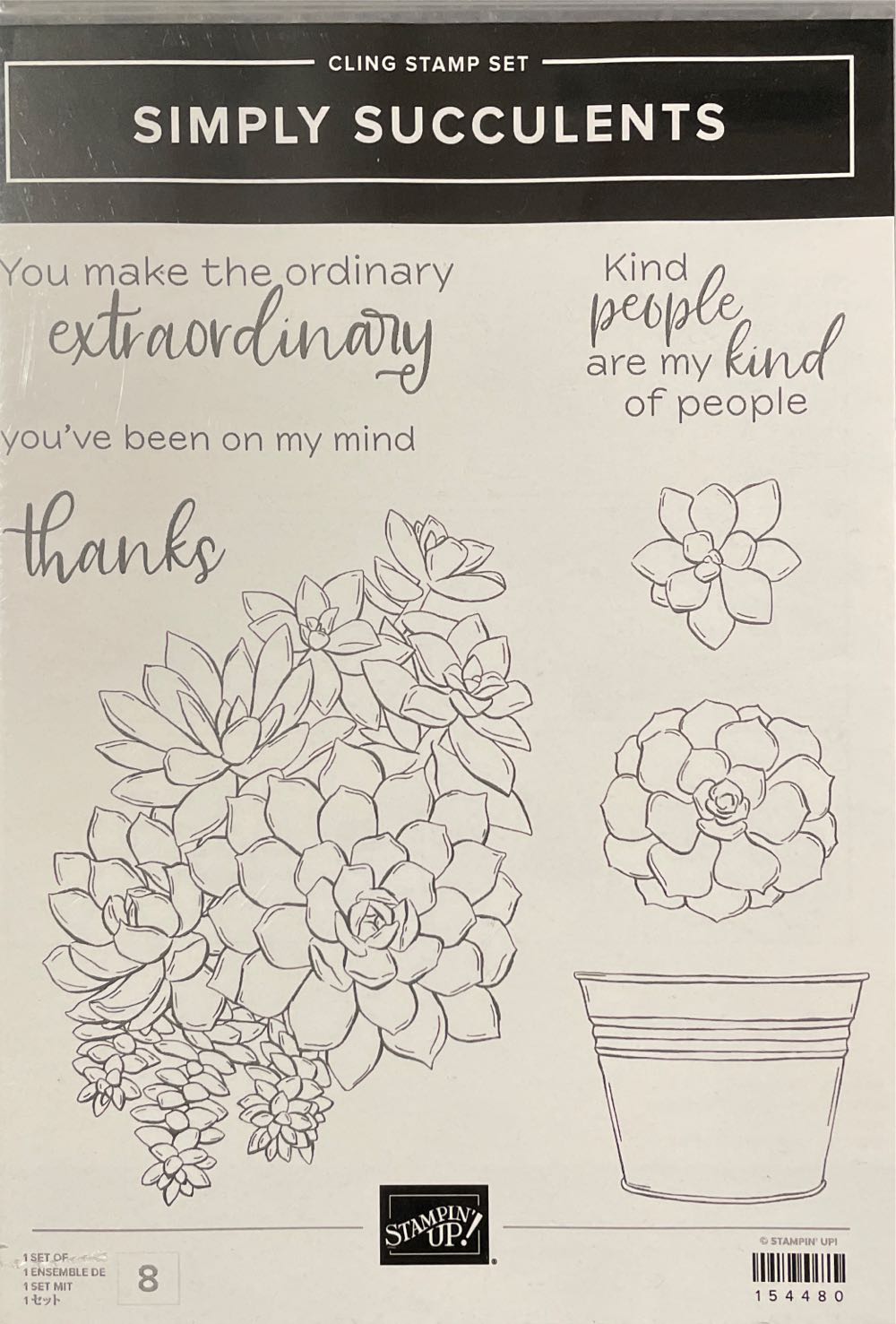 Jazzy Butterfly, Jazzy Butterfly