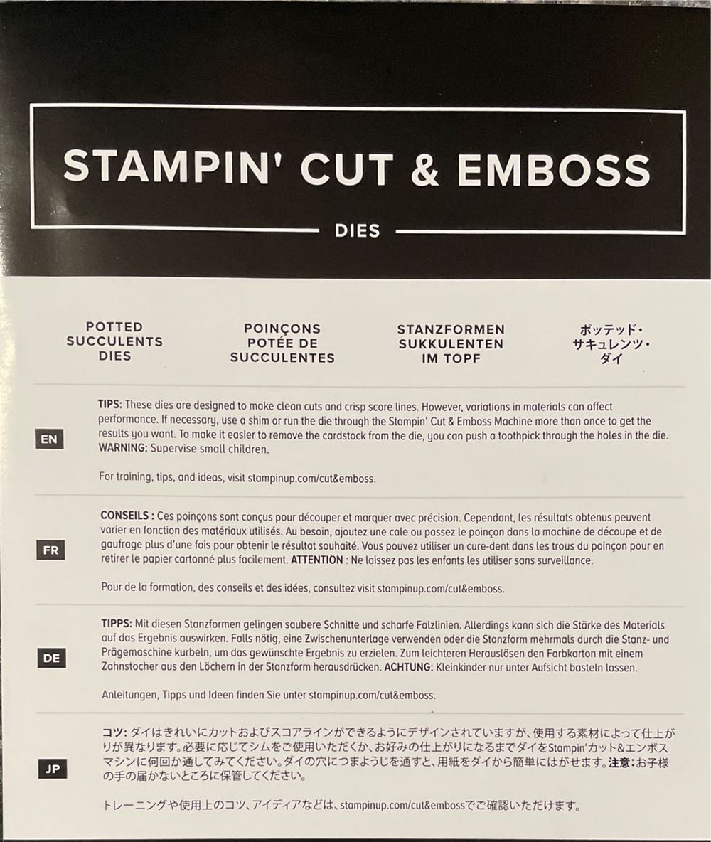 Simply Succulents  art collectible - Main Image 2