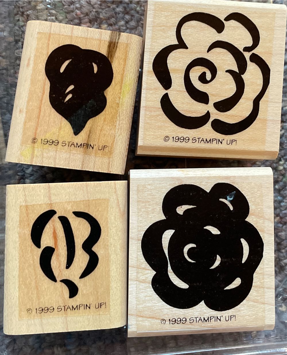 Holbein Artists’ Colored Pencil Aqua Op323