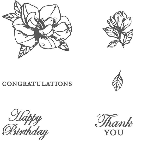 Princeton Architectural Press Fredericks & Mae Playing Cards