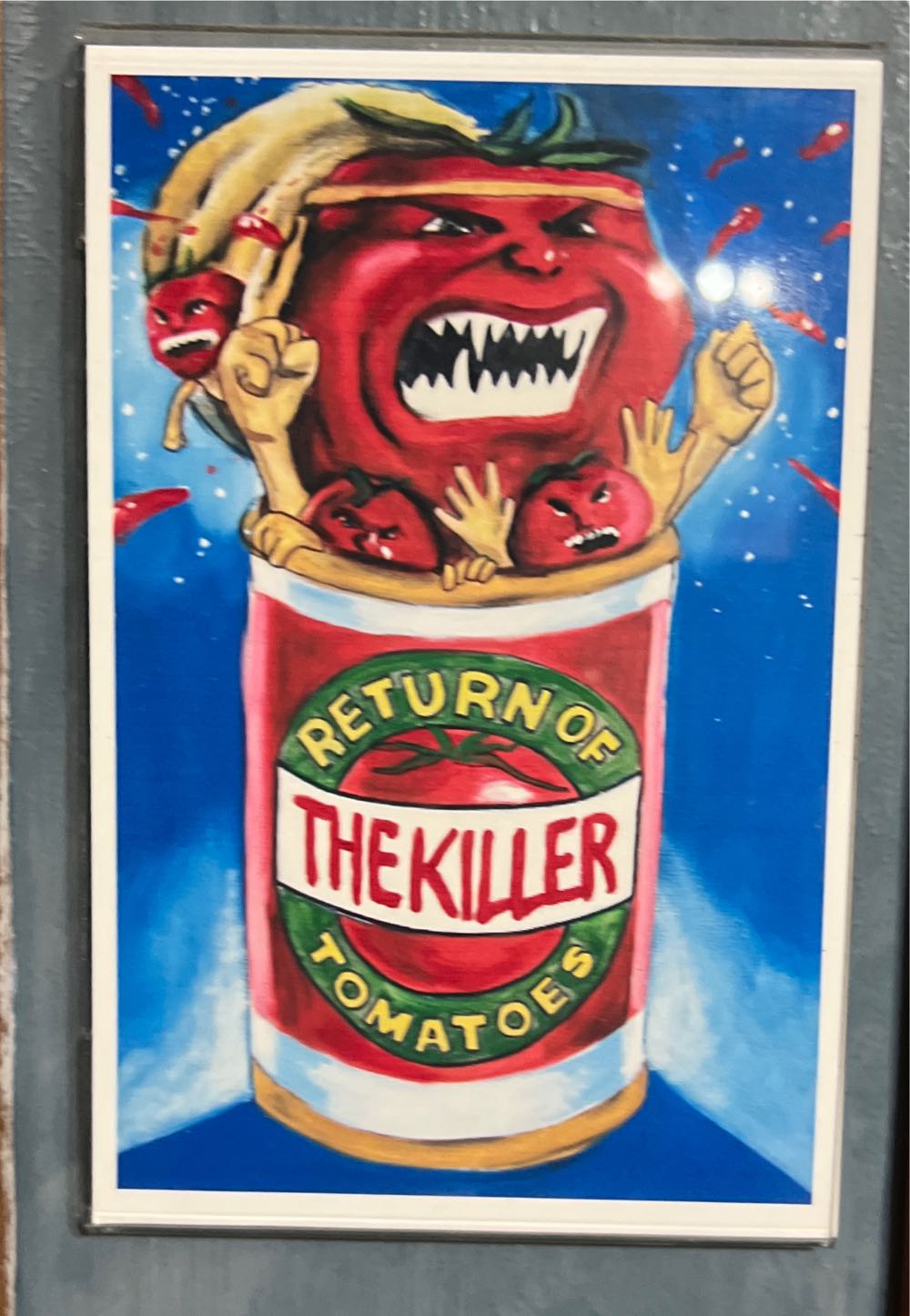 GSM National Park Playing Cards