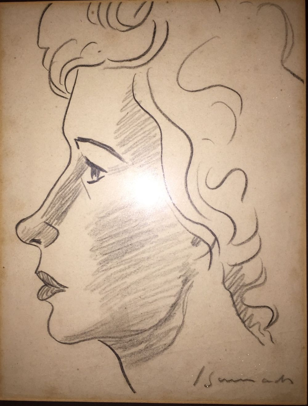 Leopard Eye Cross Stitch