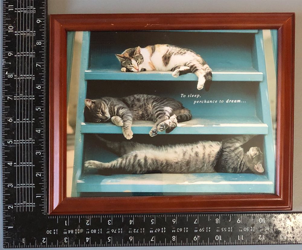 Daniel Smith 284600092 Extra Fine Watercolor 15ml Paint Tube Quinacridone Rose