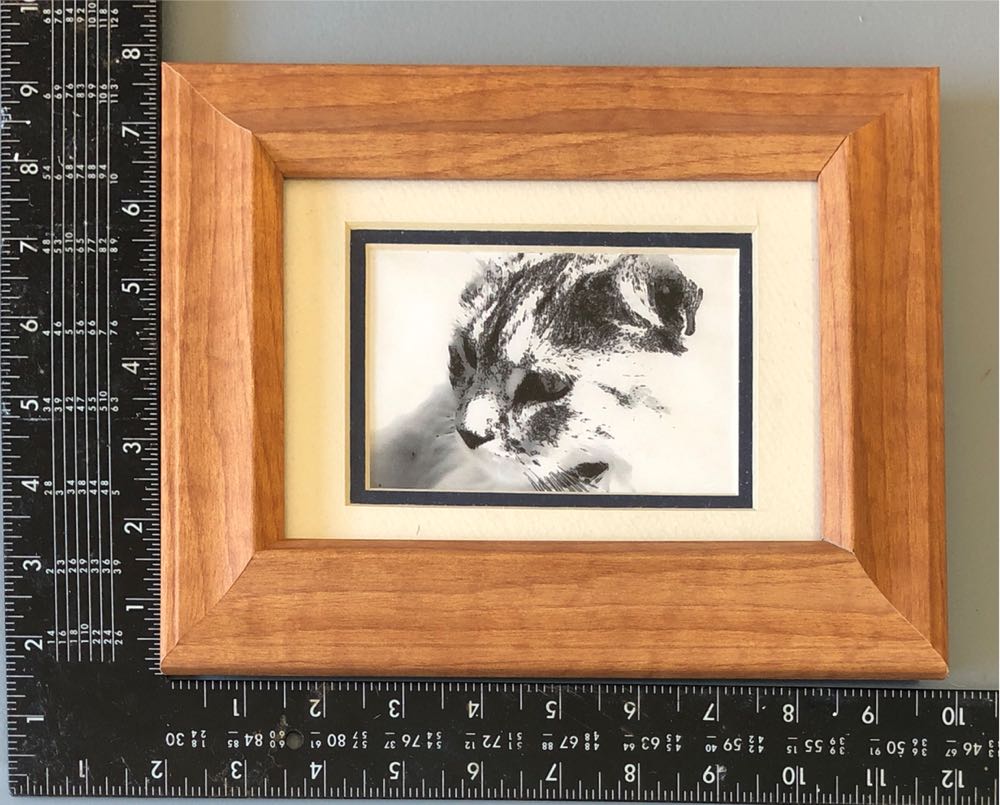 Thomas’ Original English Muffins Pack