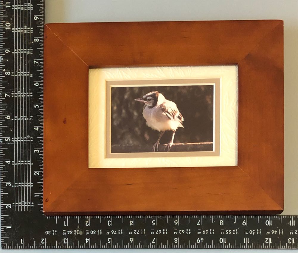 Delta Creative Ceramcoat Acrylic Paint In Assorted Colors 2 Oz Bambi Brown