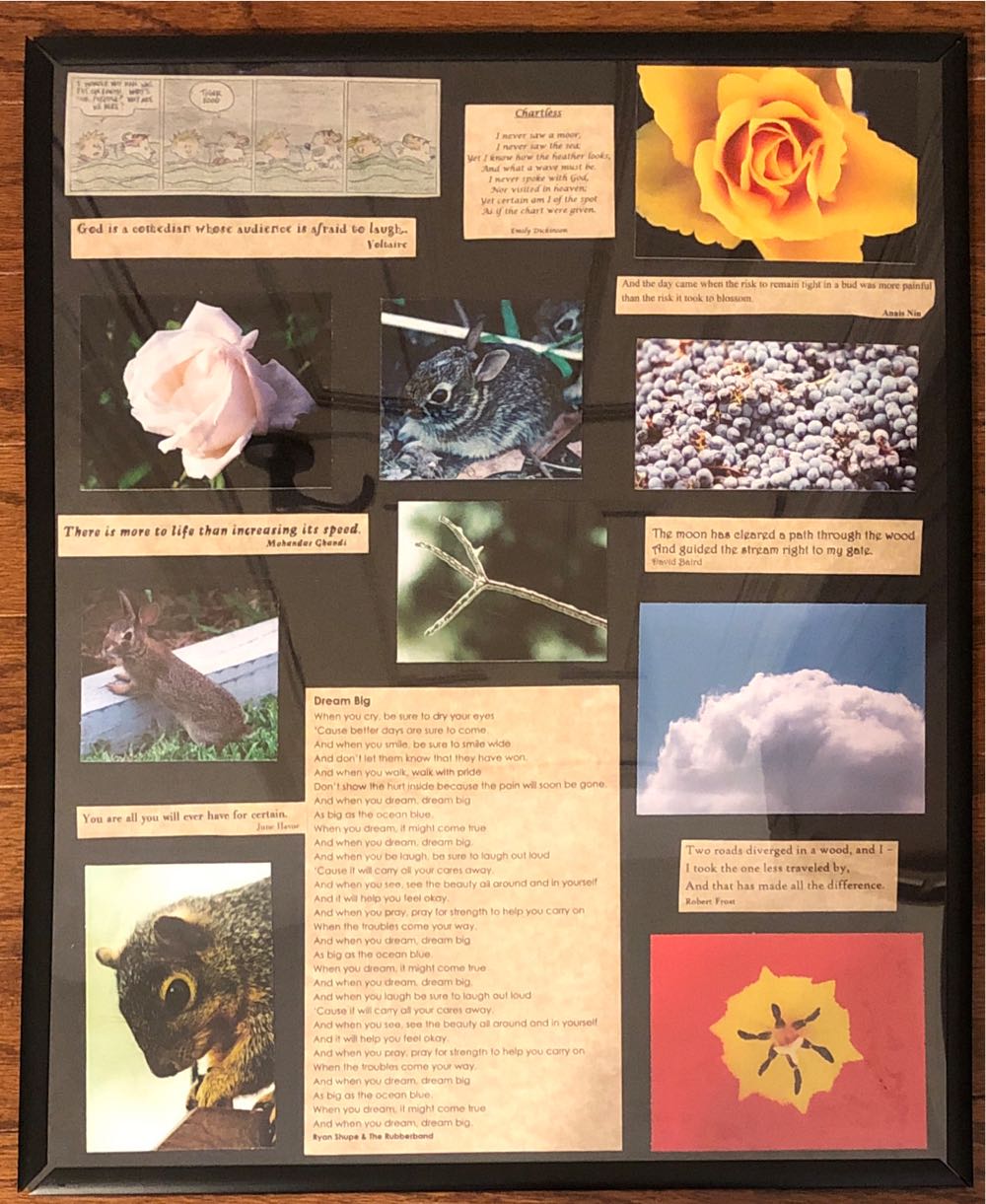 Da Vinci Artists’ Permanent Watercolor Quinacridone Gold ...