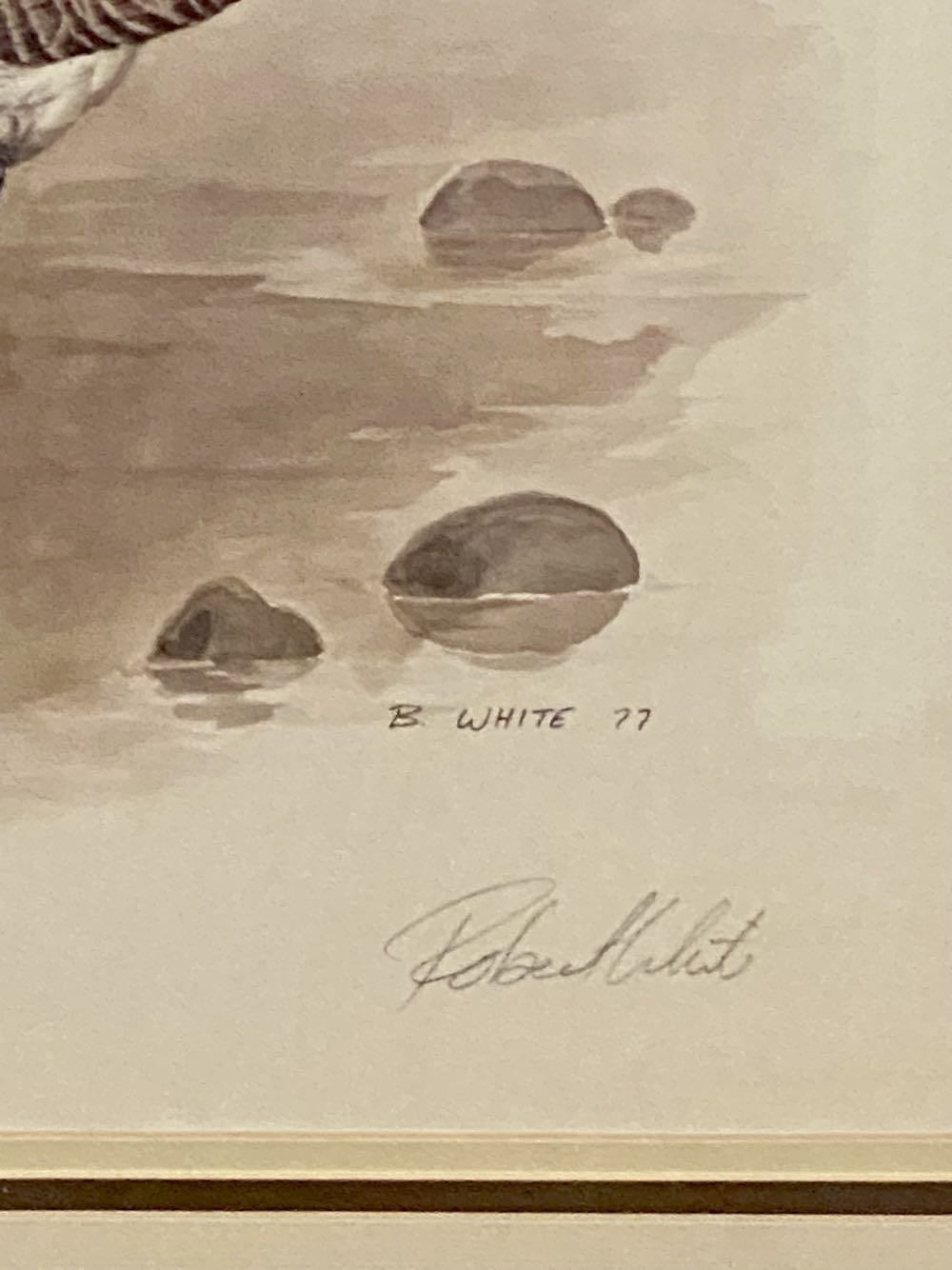 Canadian Goose - Robert White art collectible - Main Image 2