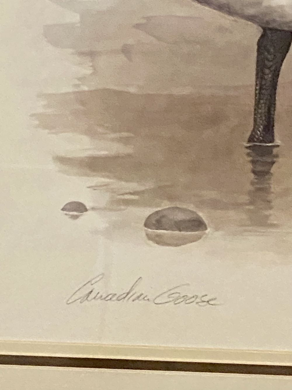 Canadian Goose - Robert White art collectible - Main Image 3