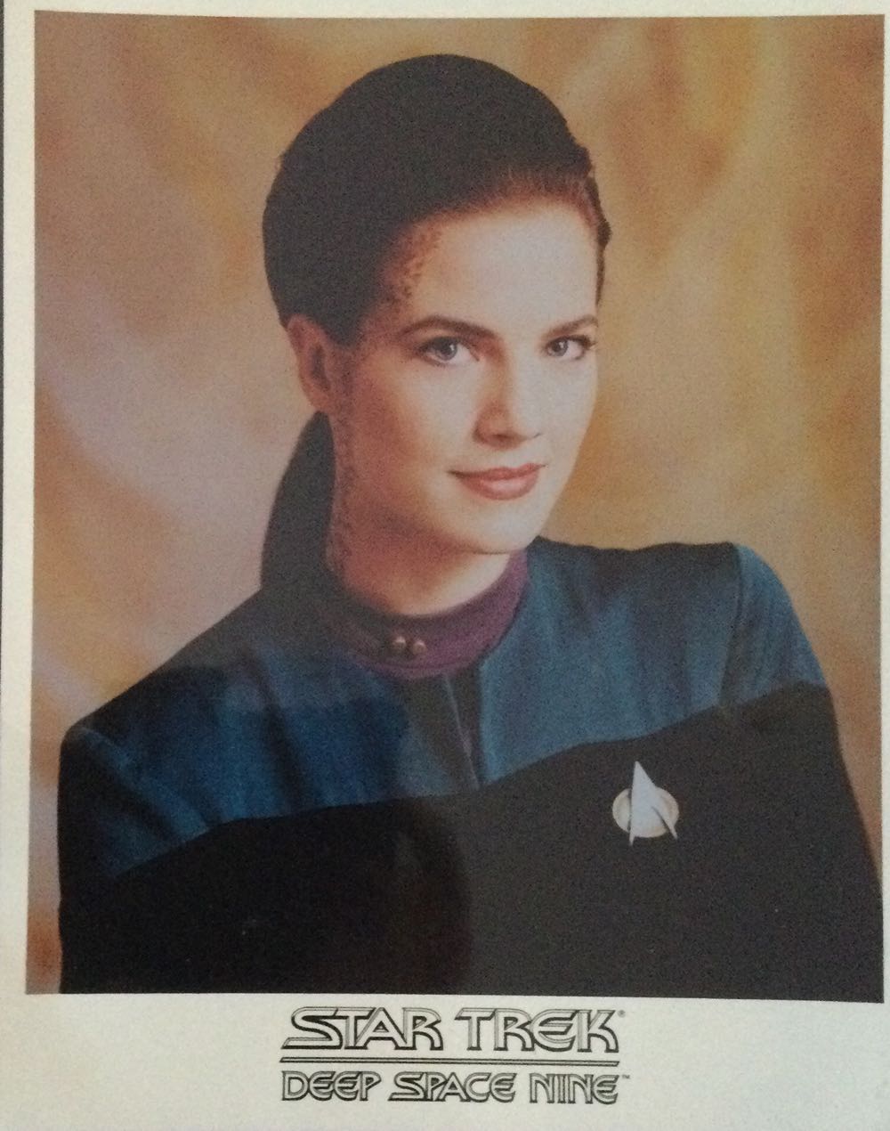 Holbein Artists’ Colored Pencil Tangerine Op140