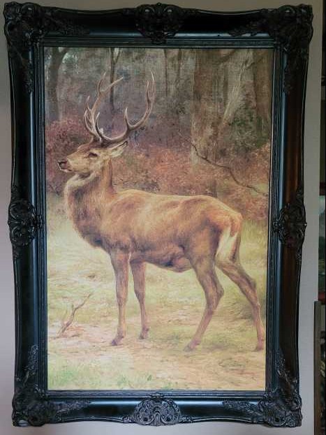 The Art Of Rick And Morty