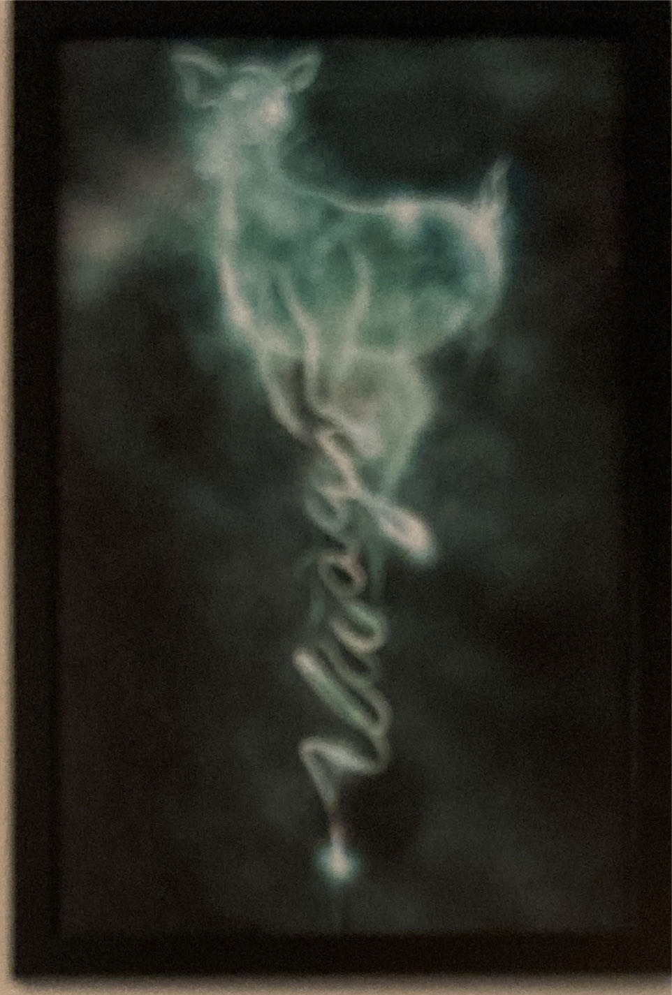 Disneyland Binder Of Press Release Photos