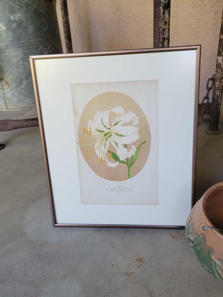 Vintage Lily Litho   art collectible - Main Image 2
