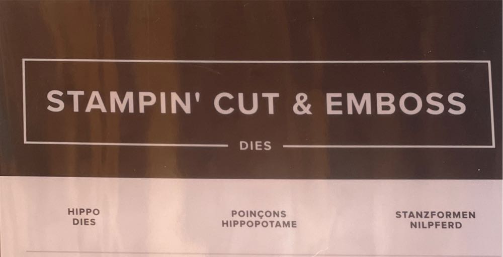 Boy Meets Girl (A Young Love Story)