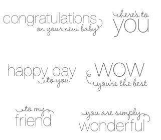 Typists And The Tiger