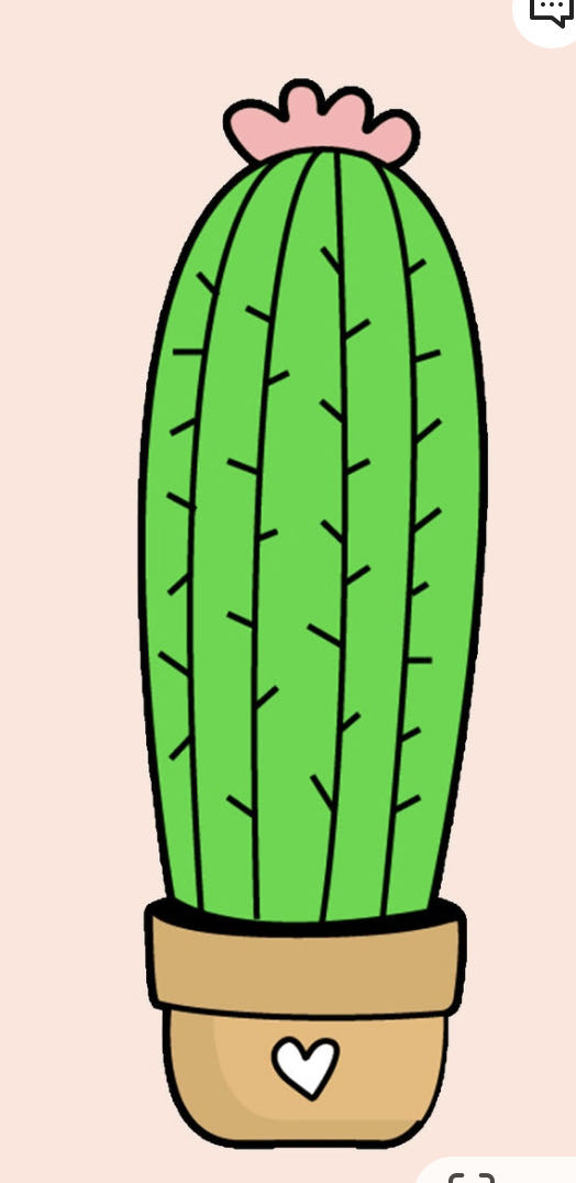 Wide Frame Hallway Mirror