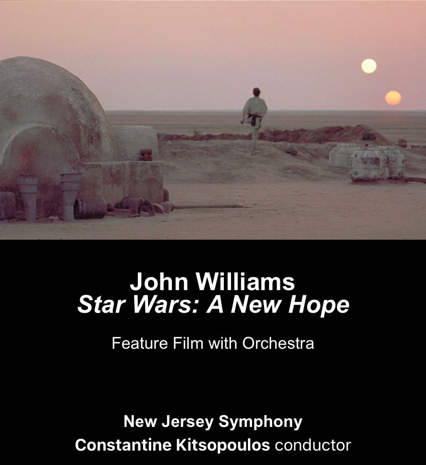 Aquarius Marvel Black Panther Playing Cards Black Panther Themed Deck Of Cards For Your Favorite Card Games Officially Licensed Marvel Comics Merchandise & Collectibles Poker Size