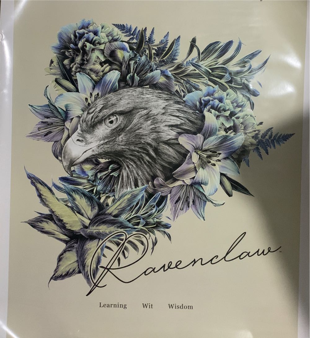 Poster Harry Potter: Ravenclaw  art collectible [Barcode 7503035282586] - Main Image 2