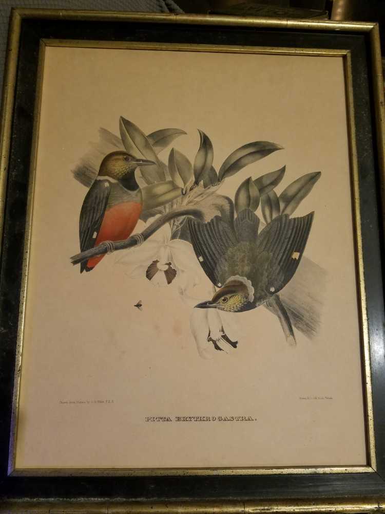 Bob Abdou 3 Of3 Loviks Granny