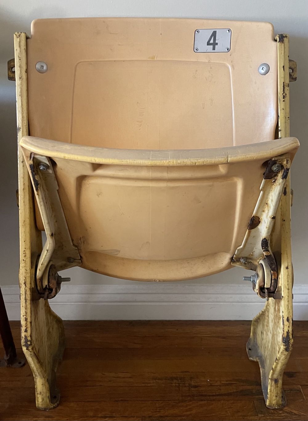 Mary Shelley Painting