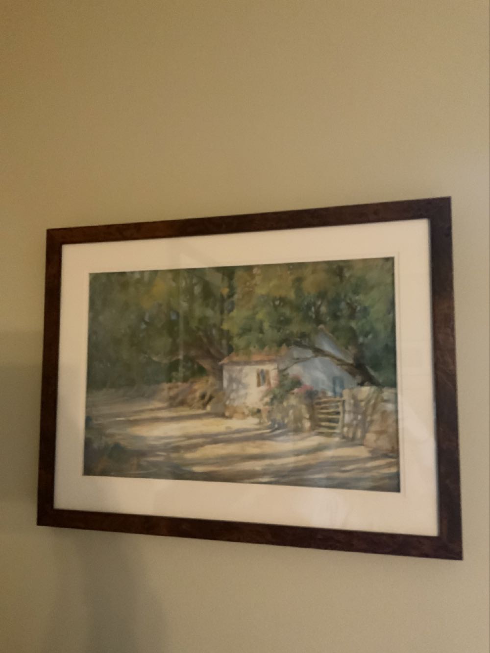 Star Trek William Riker