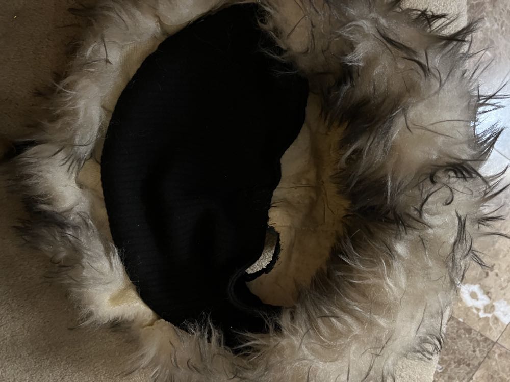 Cat mask Puppet Head - Dorothy Rankin art collectible - Main Image 4