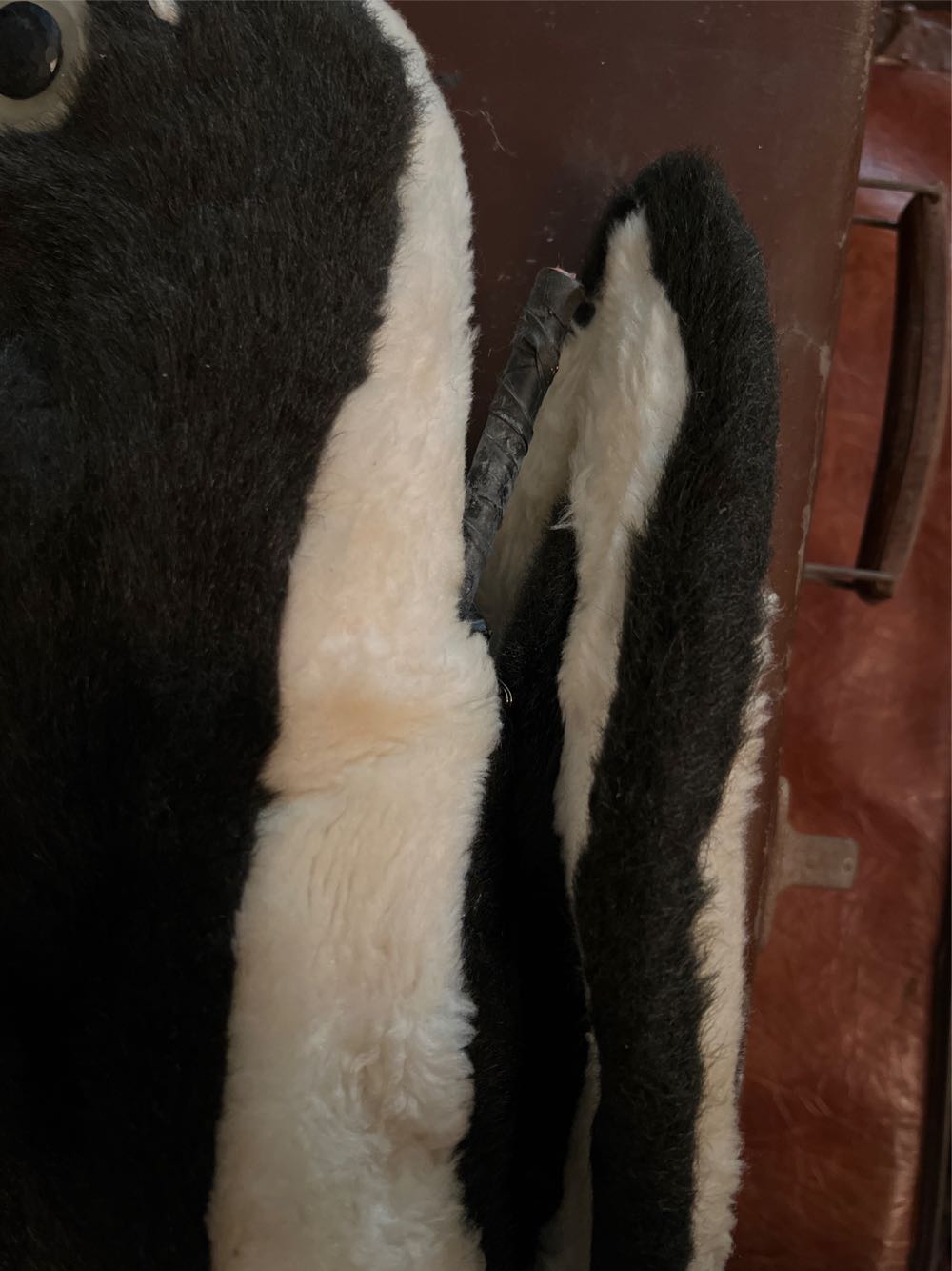 Skunk With Stinker Bulb - Dorothy Rankin art collectible - Main Image 4