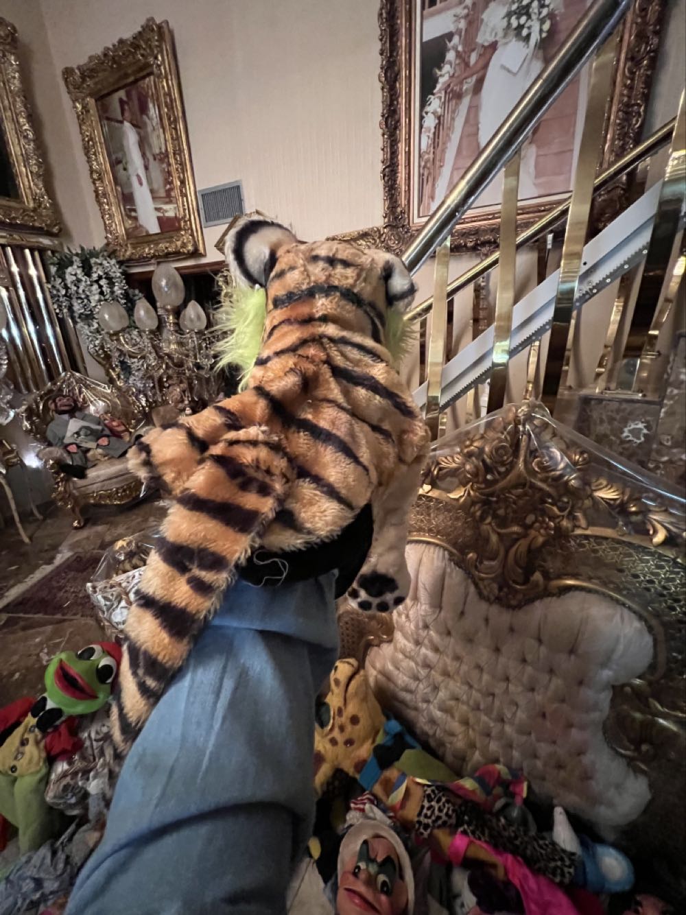 Tiger Dorothy - Dorothy Rankin art collectible - Main Image 4