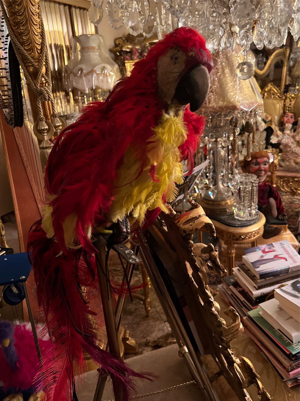 Parrot With Real Feathers - Unknown art collectible - Main Image 1