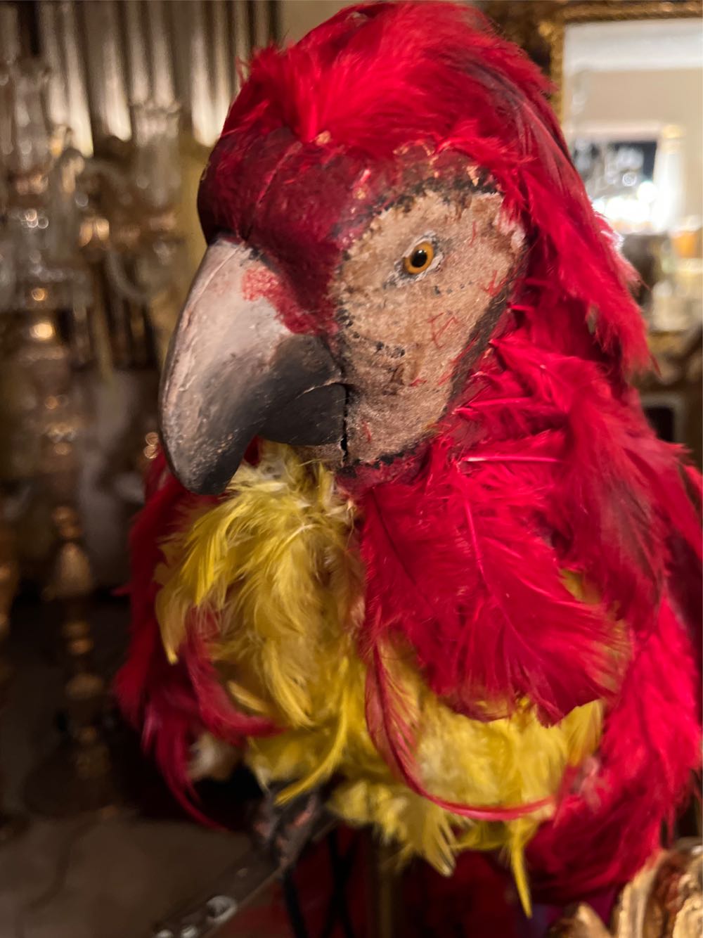 Parrot With Real Feathers - Unknown art collectible - Main Image 2