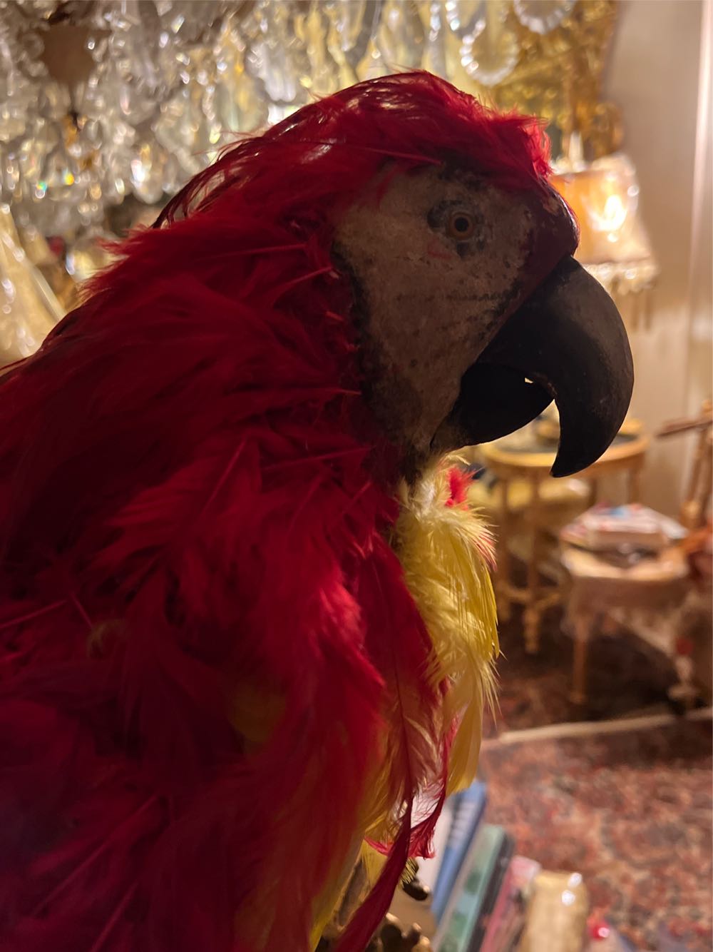 Parrot With Real Feathers - Unknown art collectible - Main Image 4