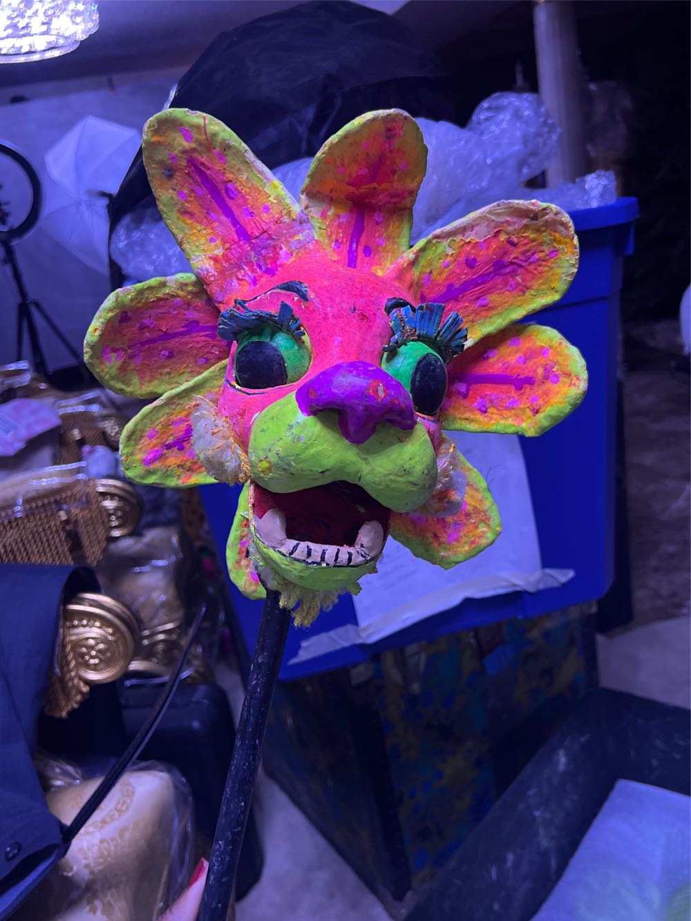 View from Cadillac Mountain