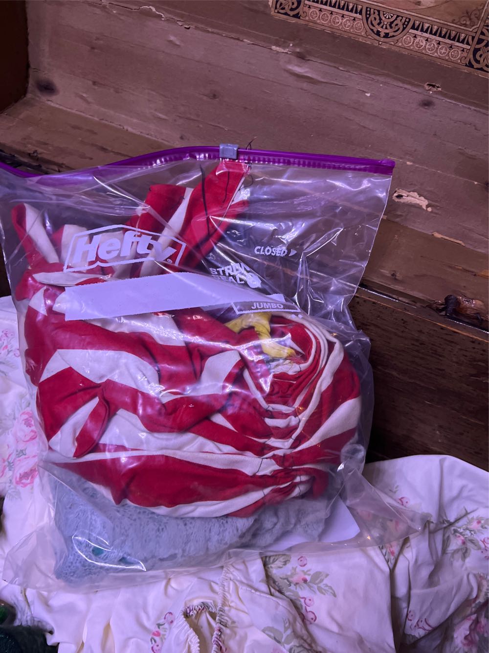 Jiminy Cricket When Dreams Come True