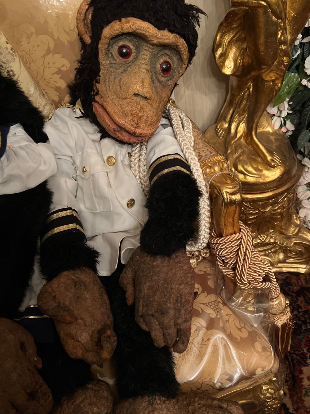 Ape Kong Of Molly And Kong  art collectible - Main Image 3