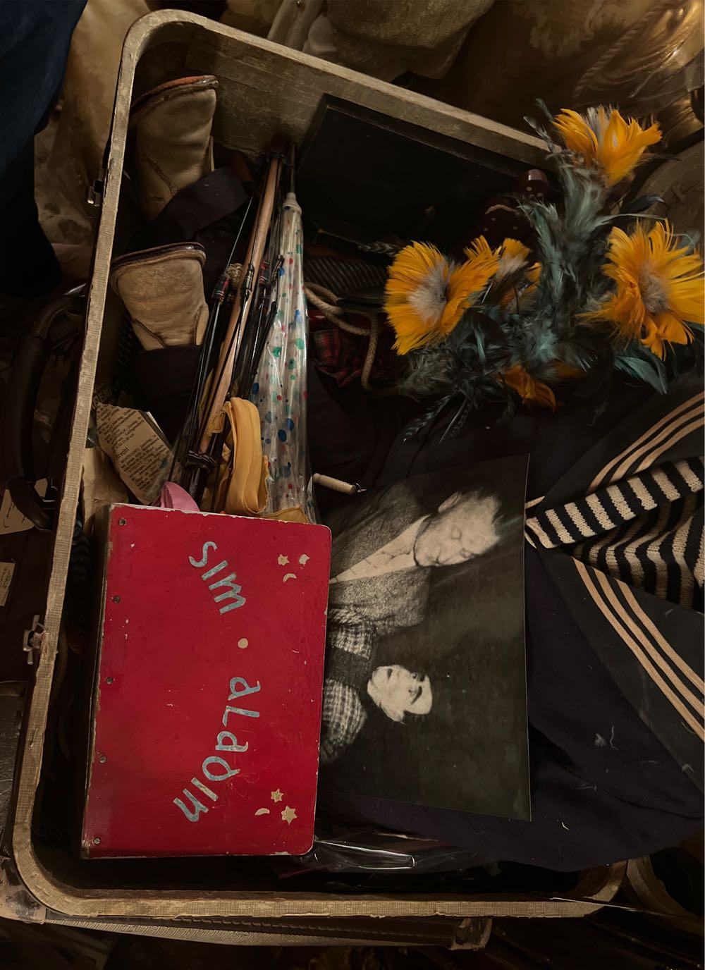 Sim Aladin Magician  art collectible - Main Image 4