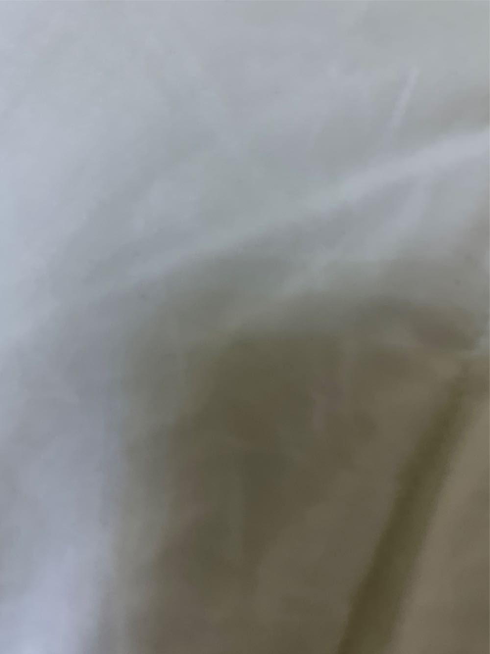 Yoshimasa Tsuchiya Catloaf