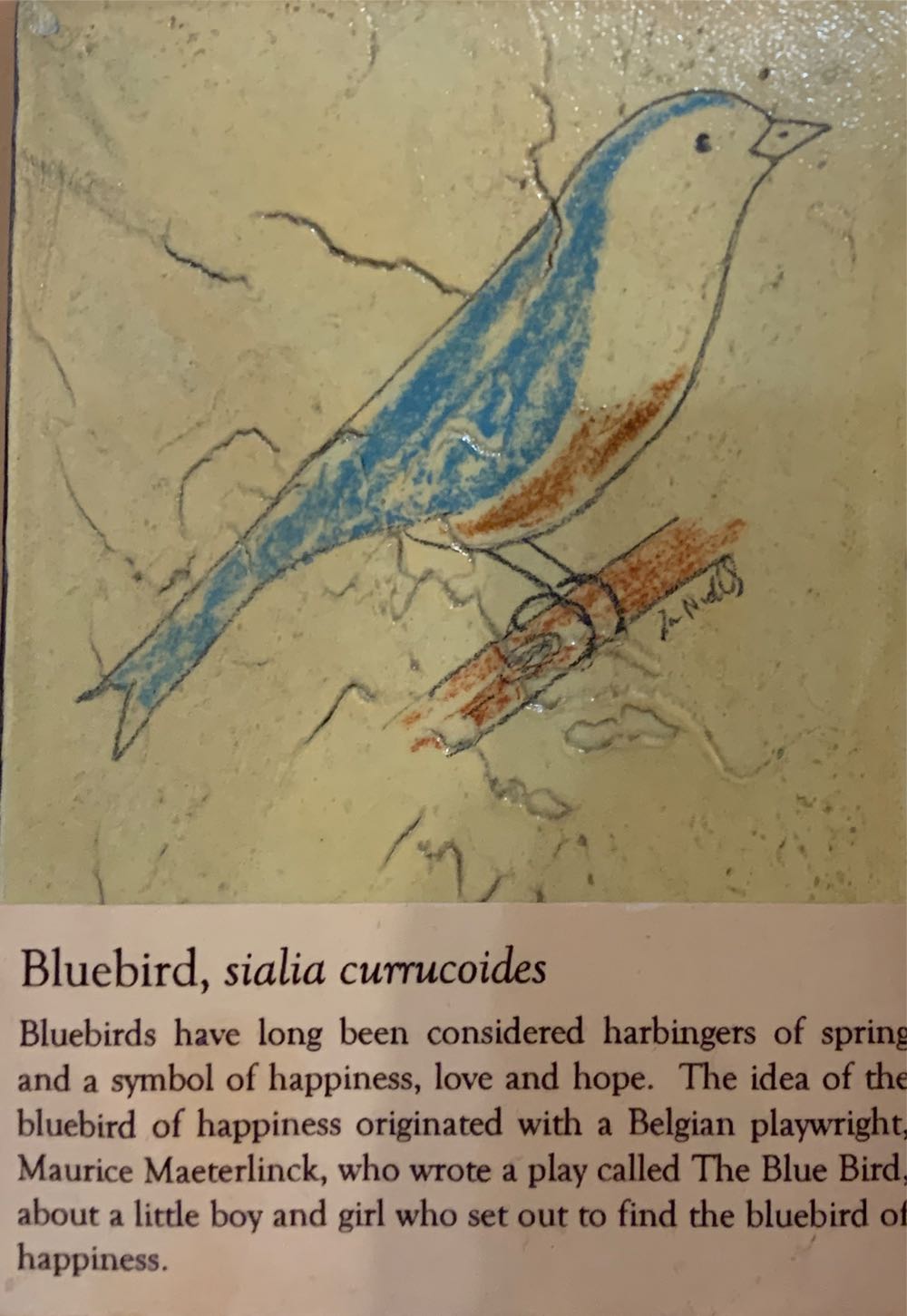 Bluebird - Ian Nicholas art collectible - Main Image 2