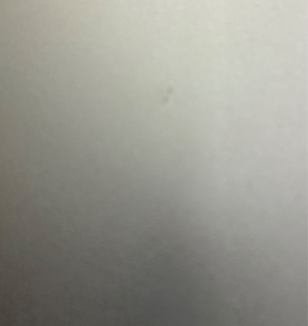 Victorian Cast Iron Demon Coat Hook