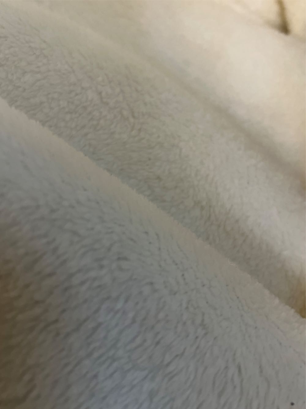 Parfüm / Kaloo / Miniaturkollektion