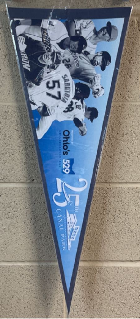 Apple Barrel Acrylic Paint In Assorted Colors 2 Oz 21465 Candy Pink