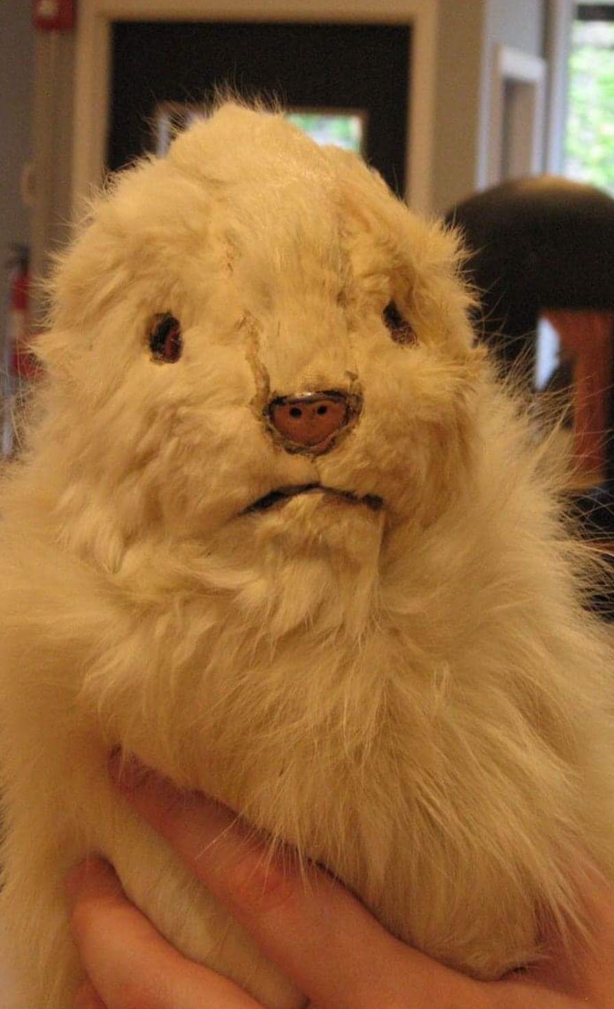 Heidelbergo Lakštingala