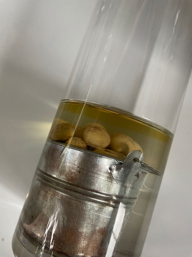 Parfüm / Uwe Herrich / Nikita