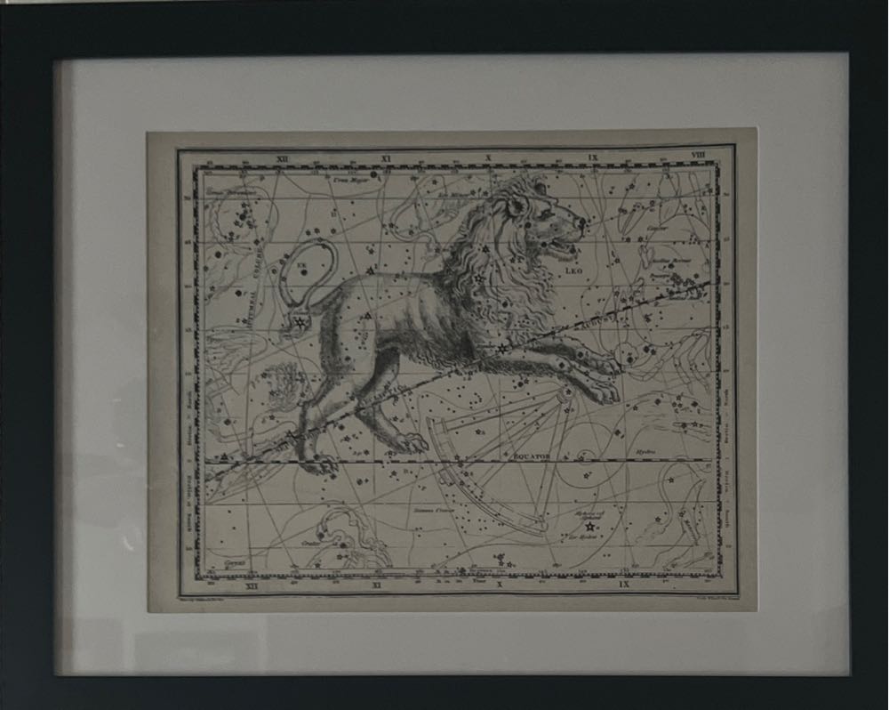 Seasons Of The Witch: Samhain Oracle: Harness The Intuitive Power Of The Year’s Most Magical Night 44 Full-color Cards And 180-page Guidebook Rockpool Oracle Card Series