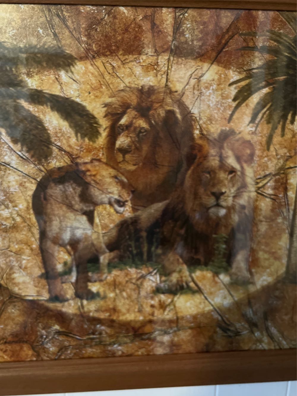 Wild Kingdom Framed Print  8.5 X 11” Lions - Jonnie K. C. Chardonn art collectible - Main Image 3