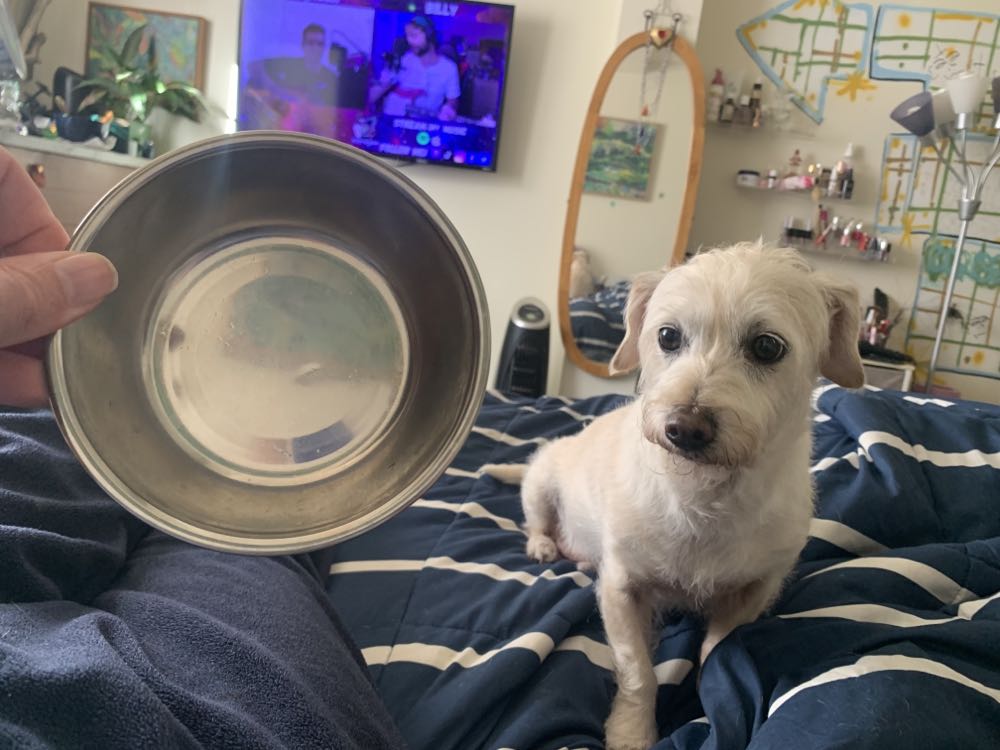 Ken Knutson - Ken Knutson art collectible - Main Image 2