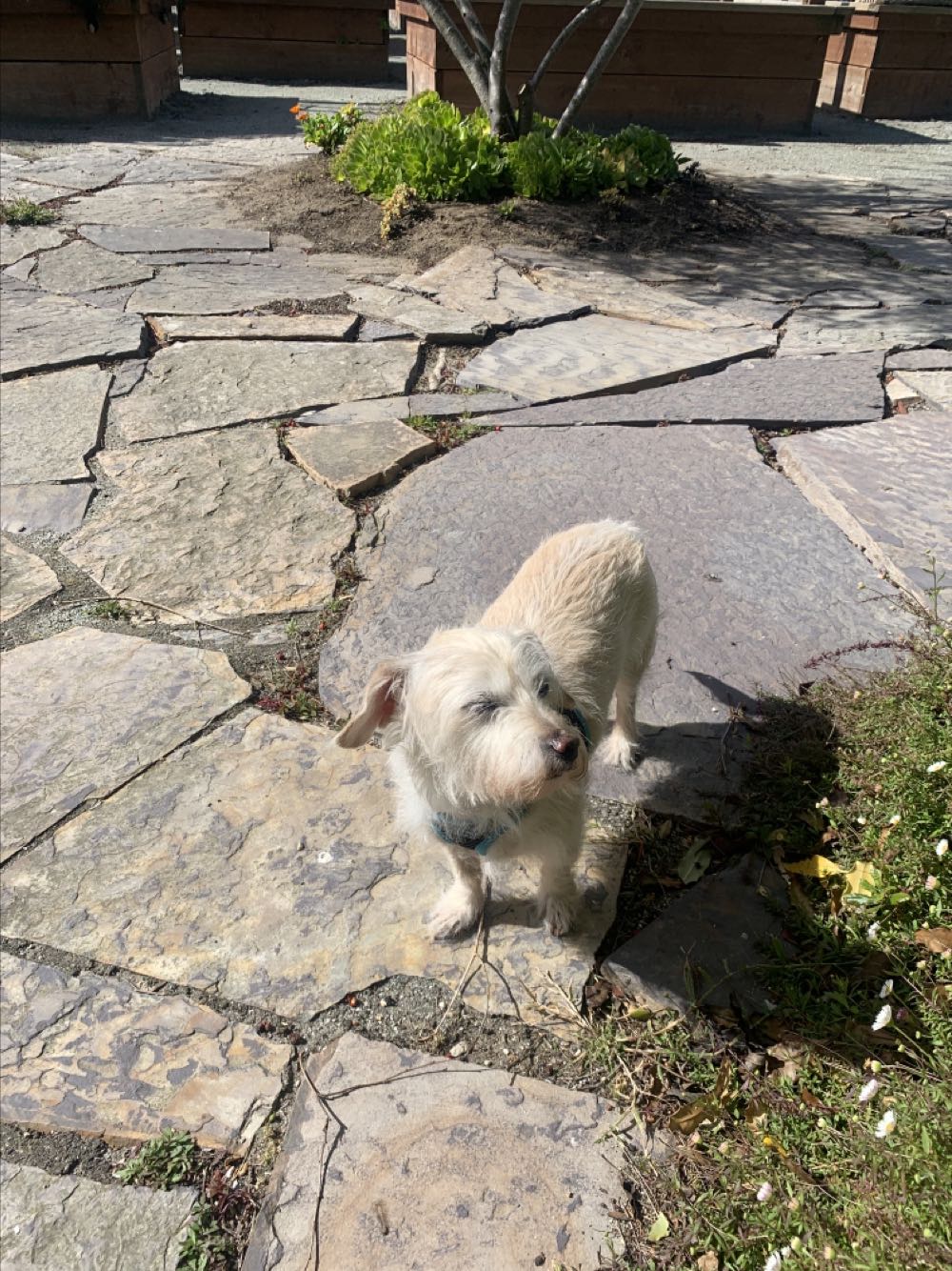 Ken Knutson - Ken Knutson art collectible - Main Image 3