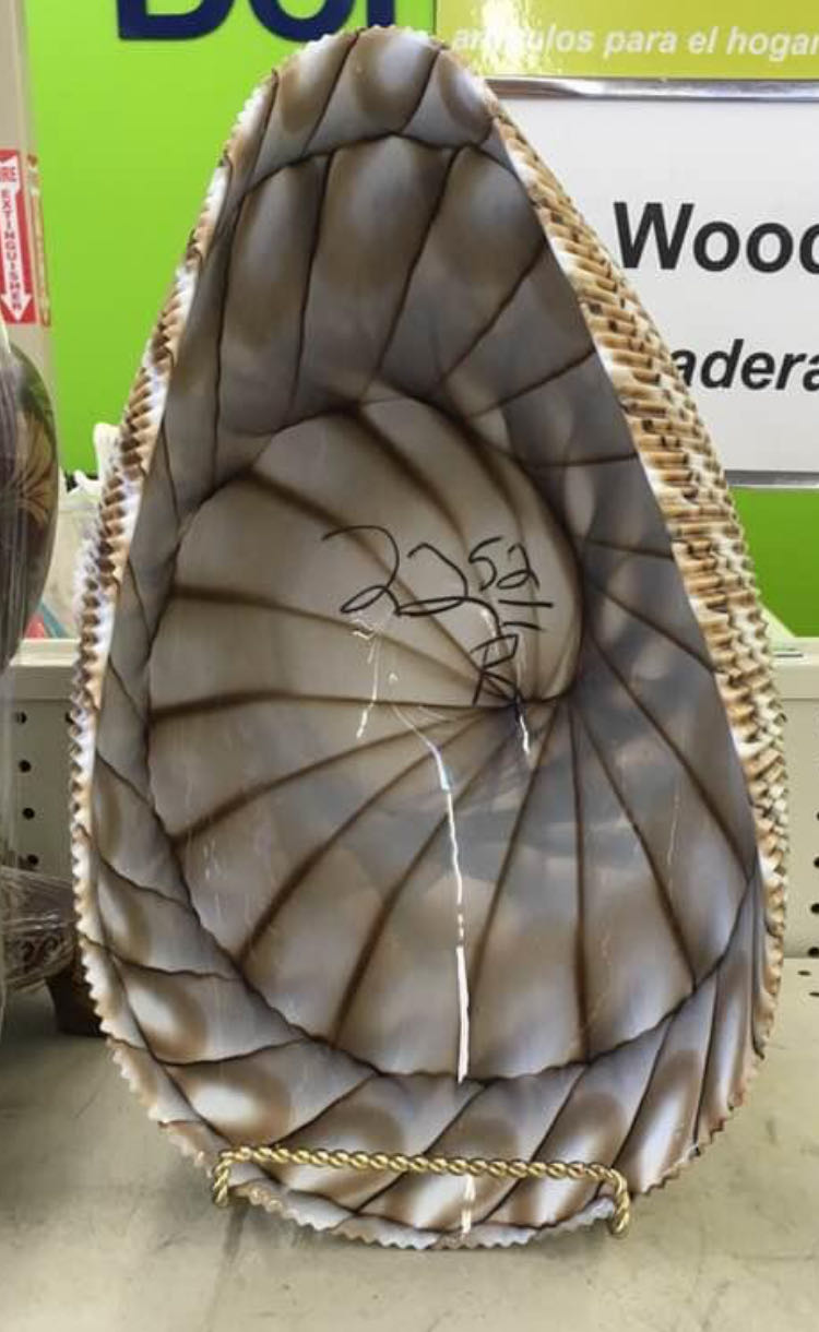 Thai Kitchen Sauce Peanut Satay 8 Oz Pk 6