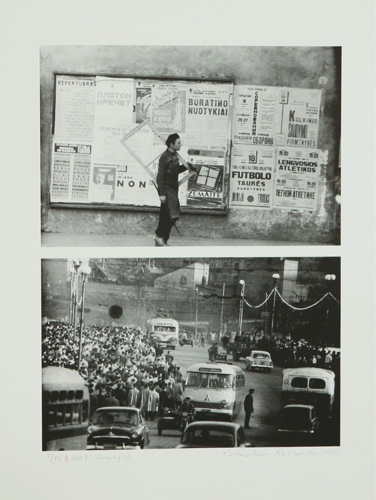 Lion Lion Panthera Leo Color Print from 1959 Big Cats Zoology